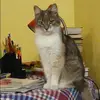 Отзыв от Венера Лапина